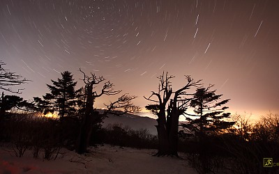 태백산 별괘적