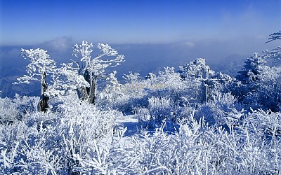 태백산설경