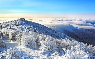 태백의 운해