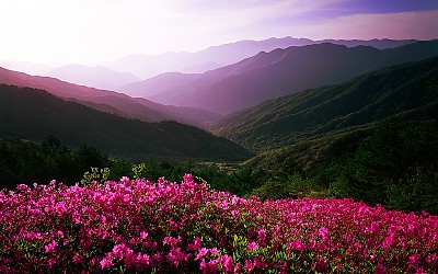 바래봉