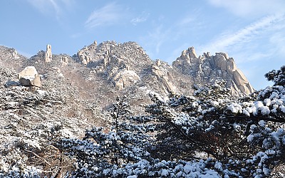 폭설 바위전시장