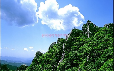 한계령의 봄
