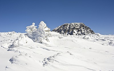 한라산 3