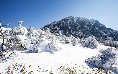남벽설경