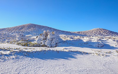 한라섷경
