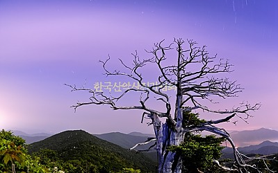 함백산의밤