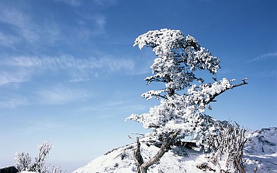 덕유산명품