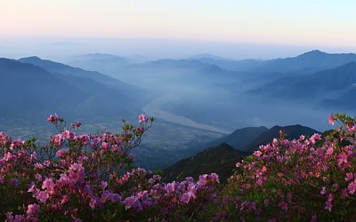 형제봉