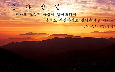 새해아침