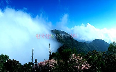 중봉과 천왕봉과 철쭉과 구름
