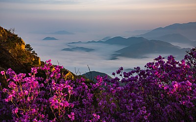 화왕산