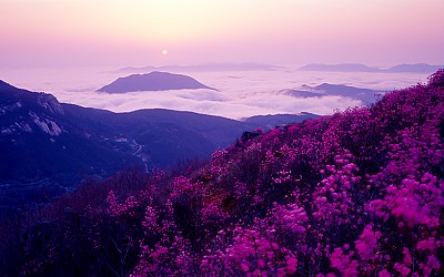 황매산