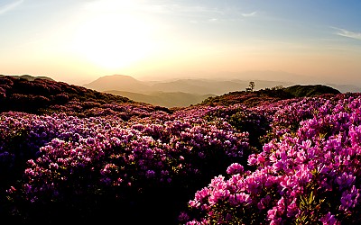 황매산