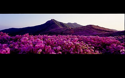 황매산 !