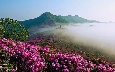 황매산