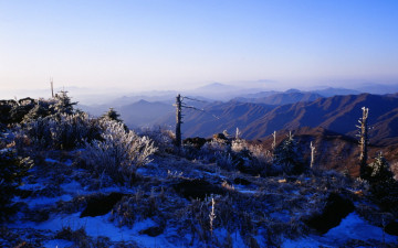 3월15일 제석입니다