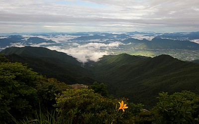 盛夏의 노고