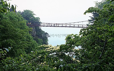 층층나무꽃 필적에...
