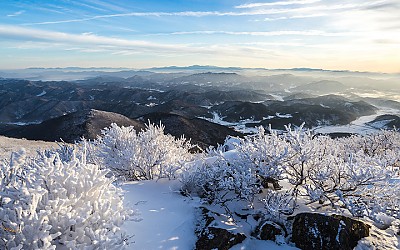 겨울