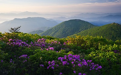 봄