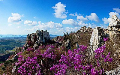 산상의봄