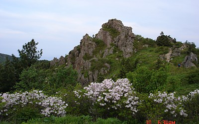 지리산 촛대봉 철쭉