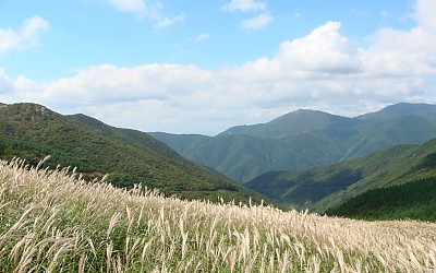 신불산 간월재 억새