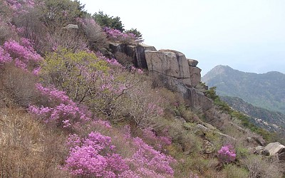 화왕산