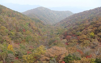 폭포 아래 계곡