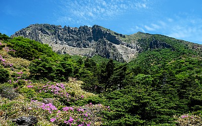 한라한 남벽