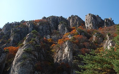 가을대둔산