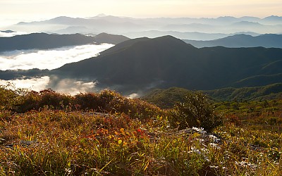 덕유의 가을 !