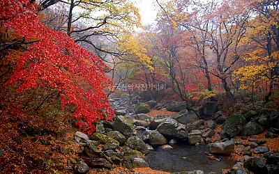 해인사 계곡의 가을입니다
