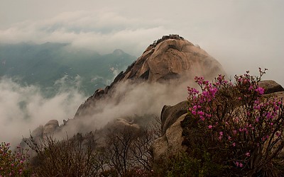 백운봉의 봄 !