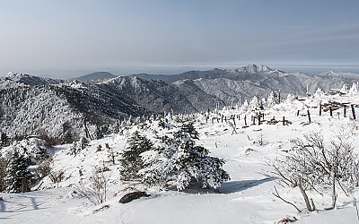 지리의 겨울!
