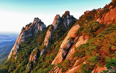 도봉산에 불나던 날