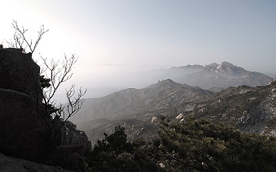 머나먼 사랑