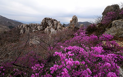 14년 첫 촬영을 주작산으로 신고 합니다.
