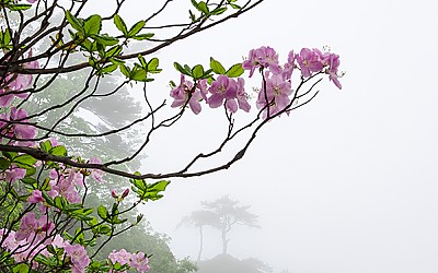 대둔산