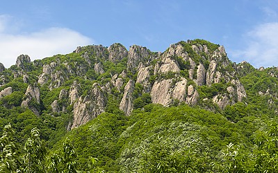대둔산 신록