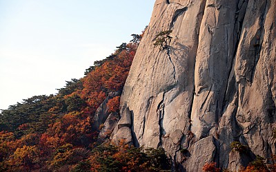 선인봉의 오후