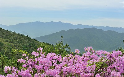 지리 천왕봉