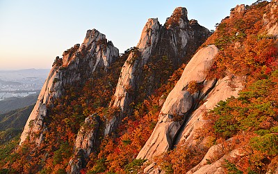 금빛바위와 단풍