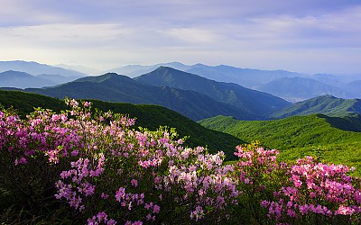 지리산