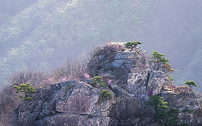 대둔산에도 봄은 오느데....