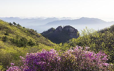 속리산(05.03)