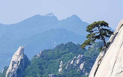 岩松-3(도봉산)