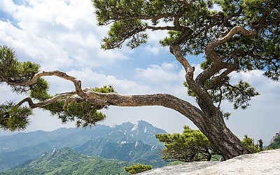 도봉산