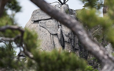 岩松-2(도봉산)