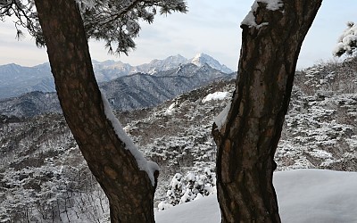 도봉설국